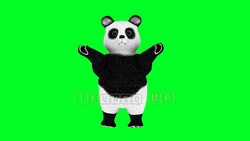 图像 CG 熊猫