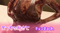 [Echinamisato -chocolate-] *橫版