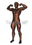 CG human body illustration