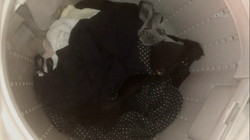 [****] Check in your parents&#39;s washing machine (underwear / stained bread)? ③